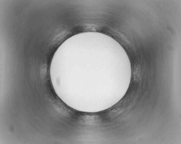 X0000115230314200911271828