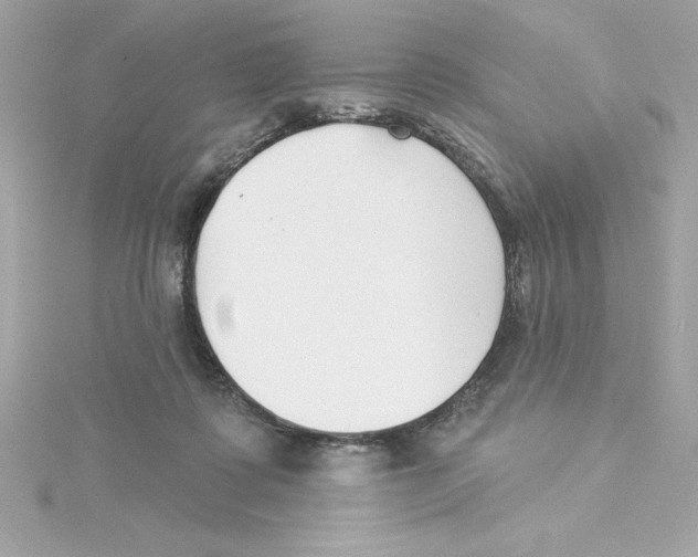 X0000115230315200911271828