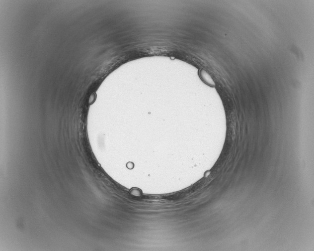 X0000115230316200911271828