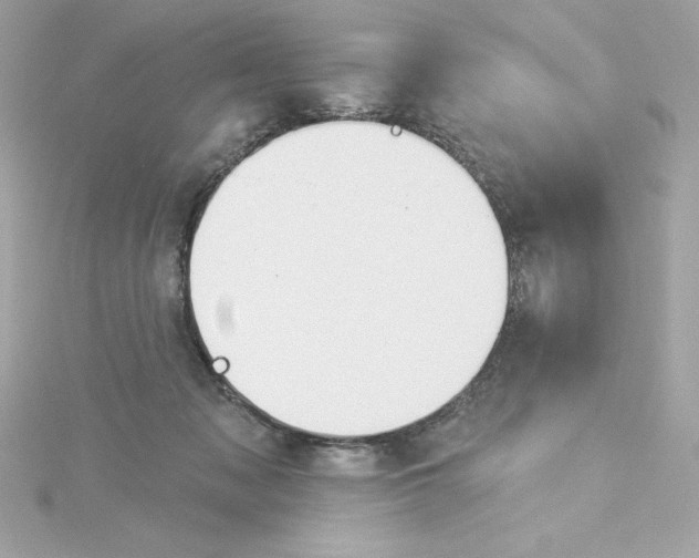 X0000115230317200911271828