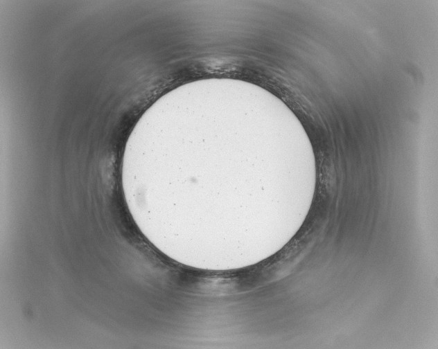 X0000115230319200911271828