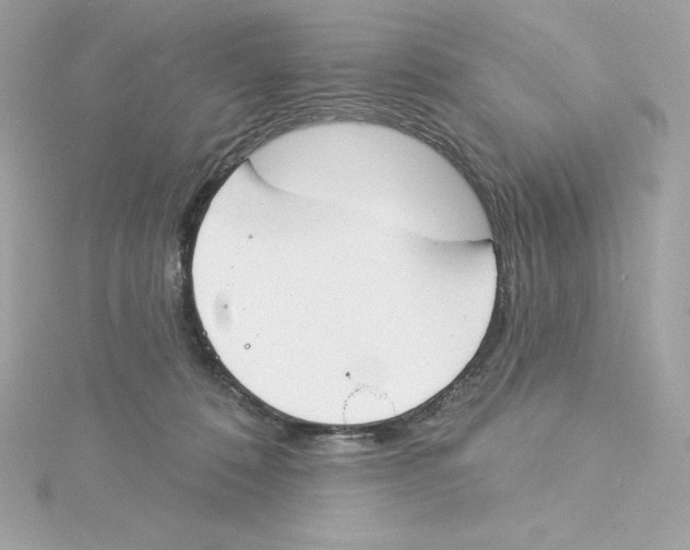 X0000115230320200911271828