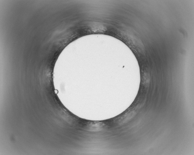 X0000115230321200911271828