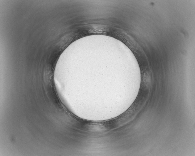 X0000115230322200911271828