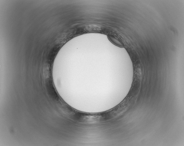 X0000115230323200911271828