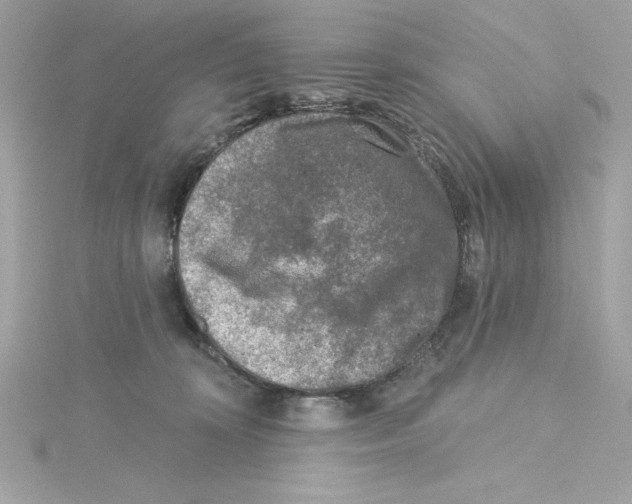 X0000115230324200911271828