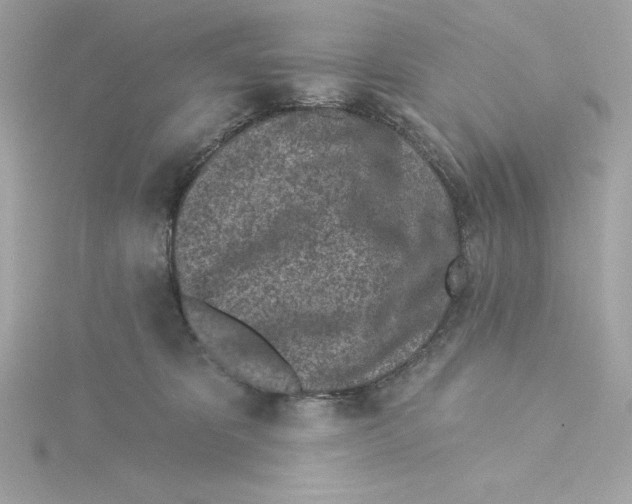 X0000115230325200911271828