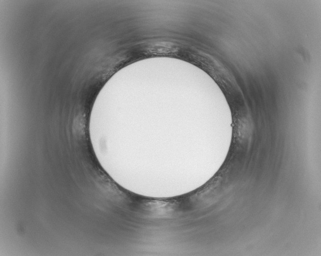 X0000115230326200911271828