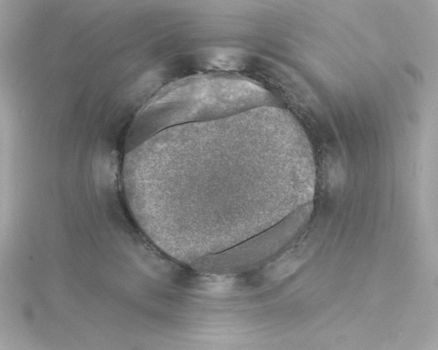 X0000115230328200911271827