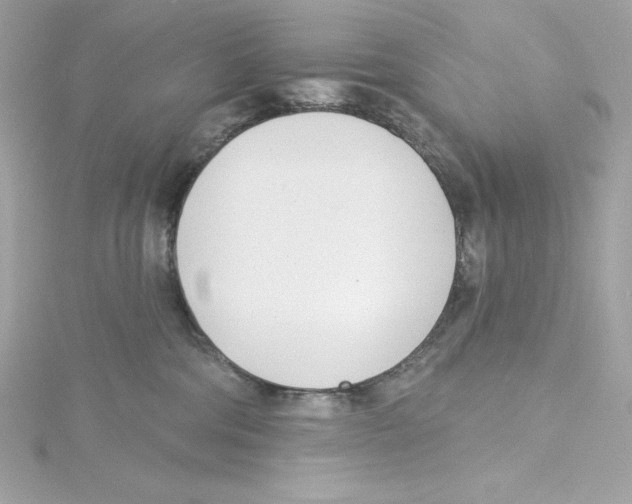 X0000115230330200911271827