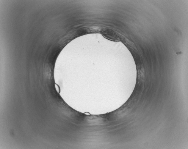 X0000115230331200911271827