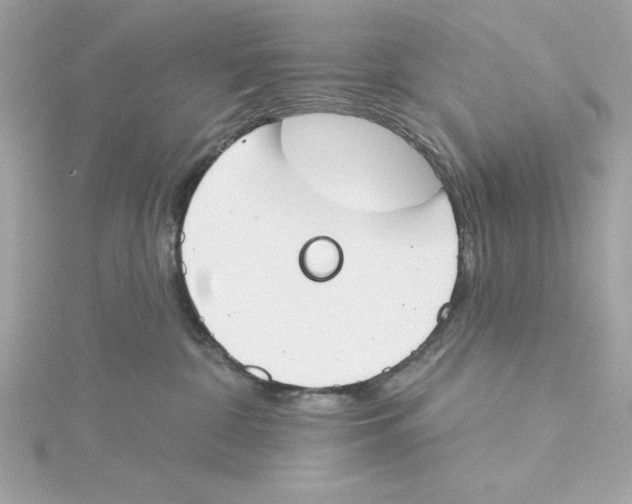 X0000115230332200911271827