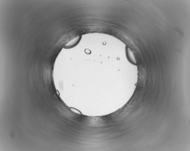 X0000115230333200911271827