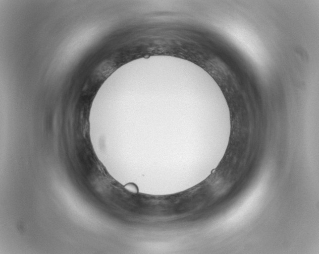 X0000115230334200911271827