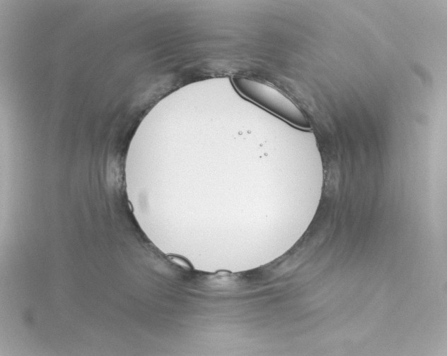 X0000115230335200911271827