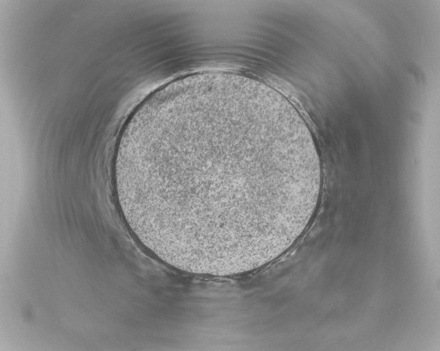 X0000115230337200911271827