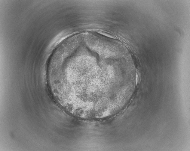 X0000115230339200911271827