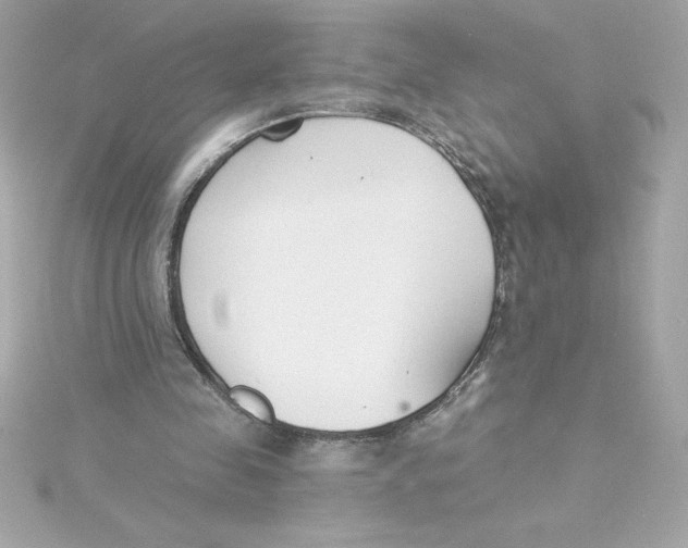 X0000115230341200911271827