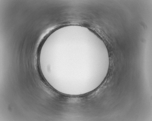 X0000115230342200911271827