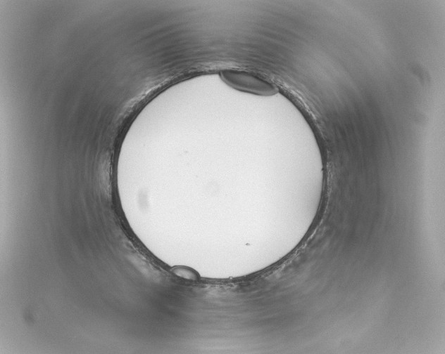 X0000115230345200911271827