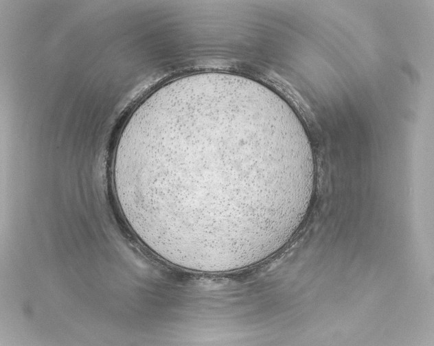 X0000115230346200911271827