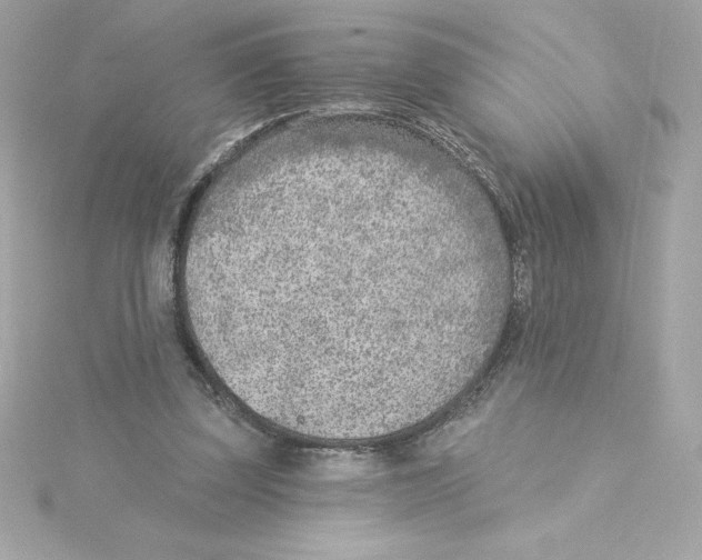 X0000115230347200911271827