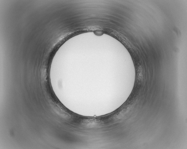 X0000115230351200911271827