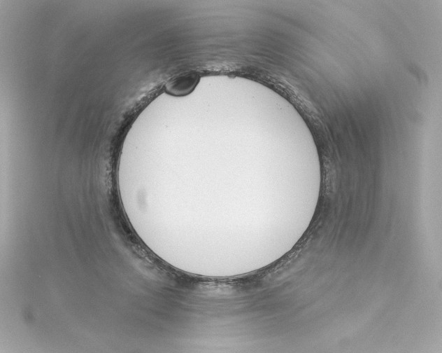 X0000115230354200911271827