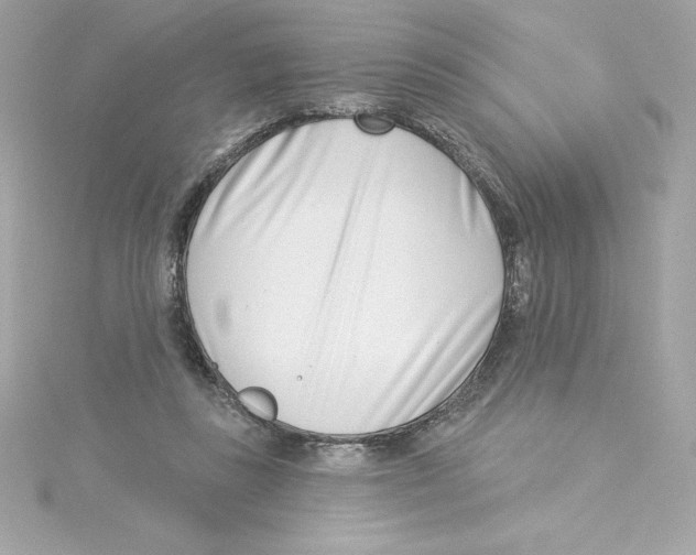 X0000115230355200911271827