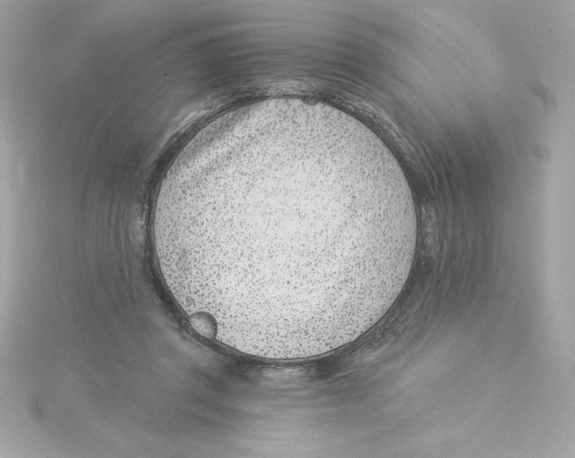 X0000115230357200911271827