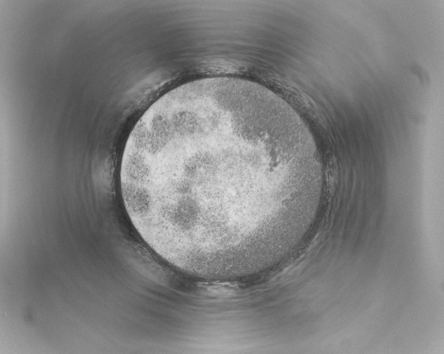 X0000115230359200911271827