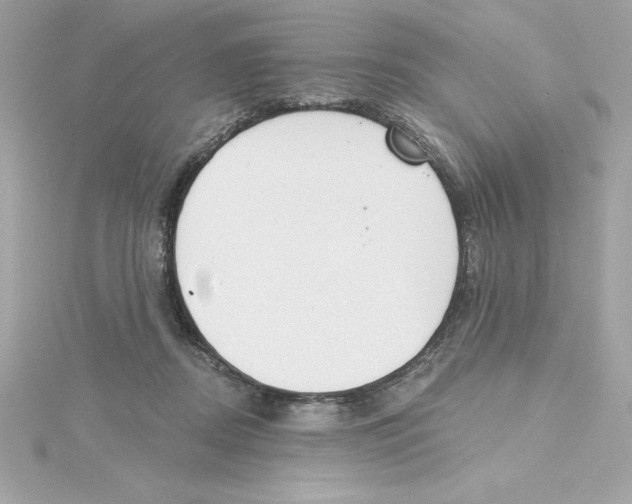 X0000115230362200911271827