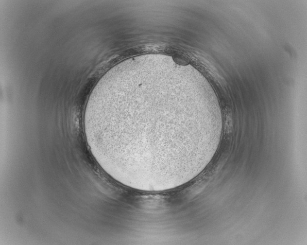 X0000115230363200911271827