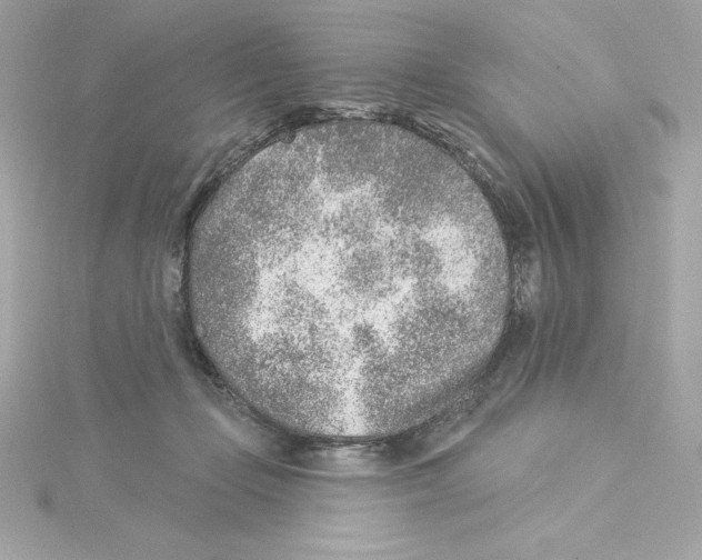 X0000115230365200911271827