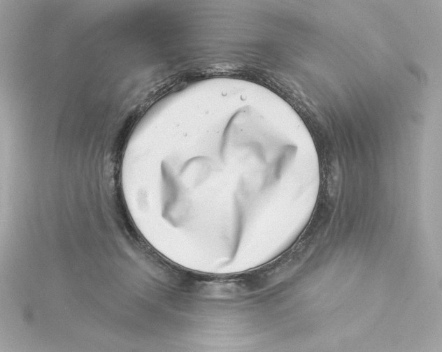 X0000115230366200911271827