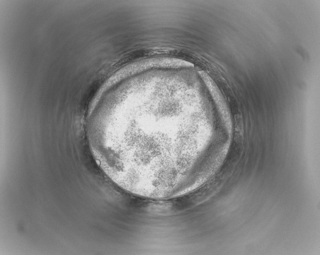 X0000115230369200911271827