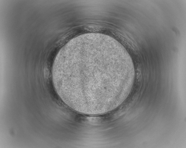 X0000115230371200911271827