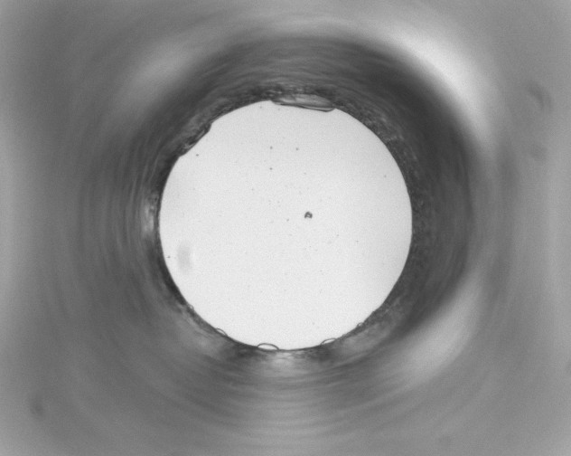 X0000115230382200911271827