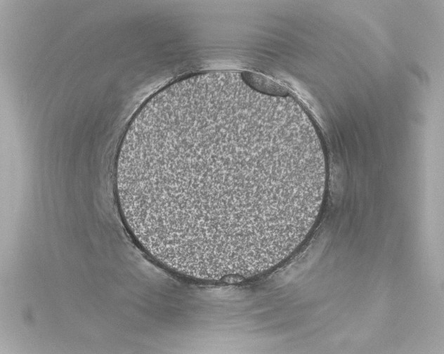 X0000115230385200911271827