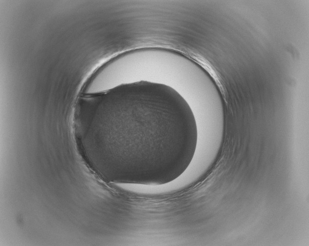 X0000115230387200911271827