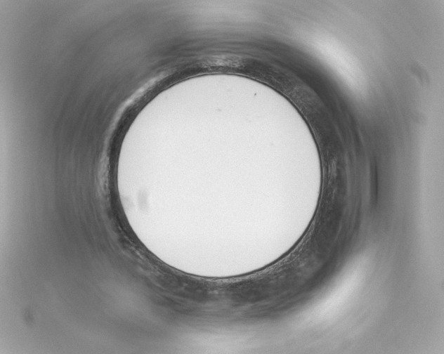 X0000115230388200911271827