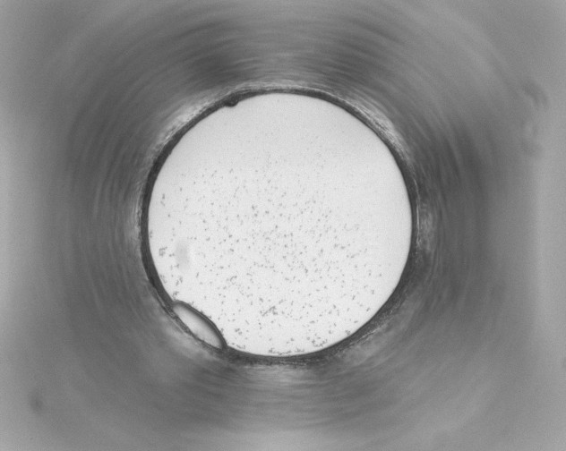 X0000115230389200911271827