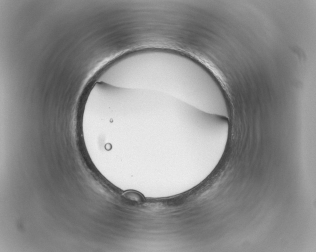 X0000115230391200911271827