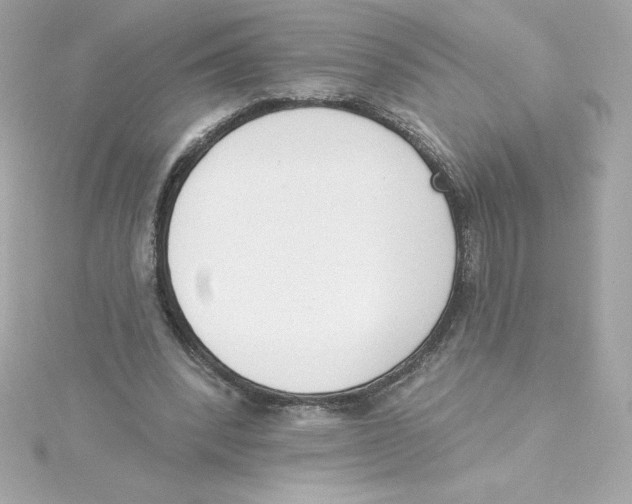 X0000115230392200911271827