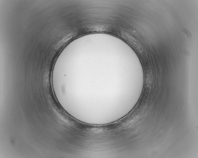 X0000115230394200911271827