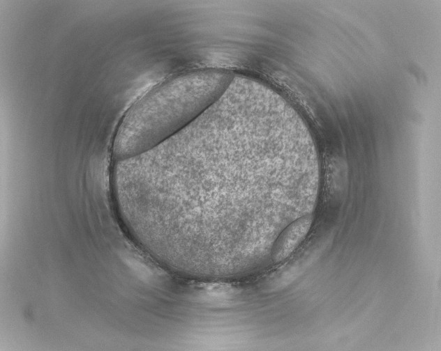 X0000115230395200911271827