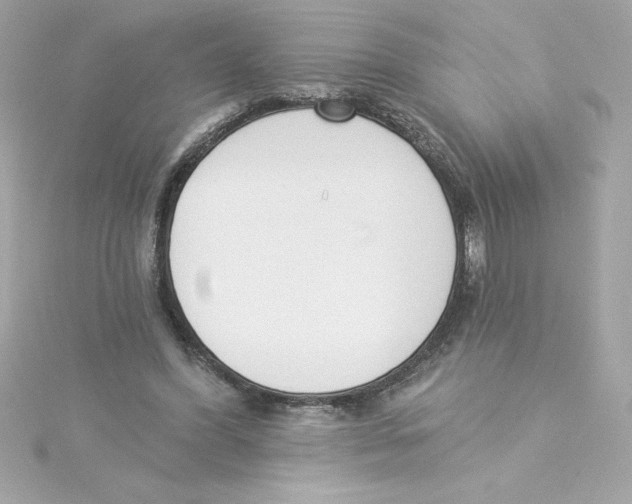 X0000115230396200911271827