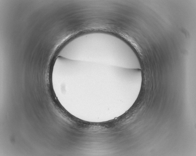 X0000115230399200911271827