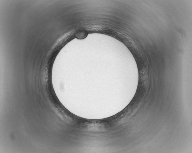 X0000115230400200911271827