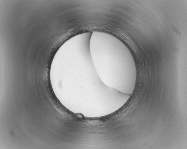 X0000115230401200911271827